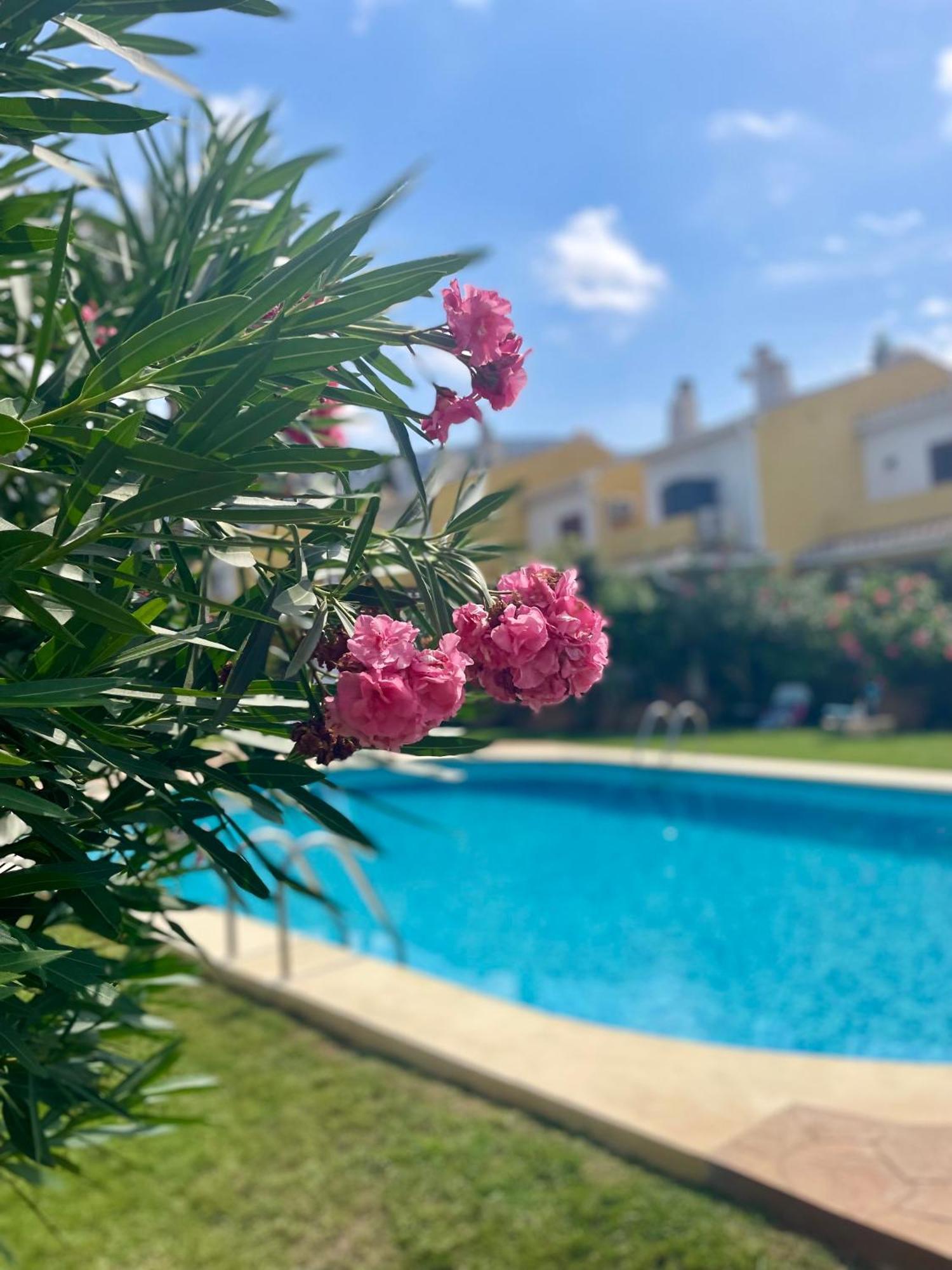 El Casa Kama Apartment Denia Luaran gambar